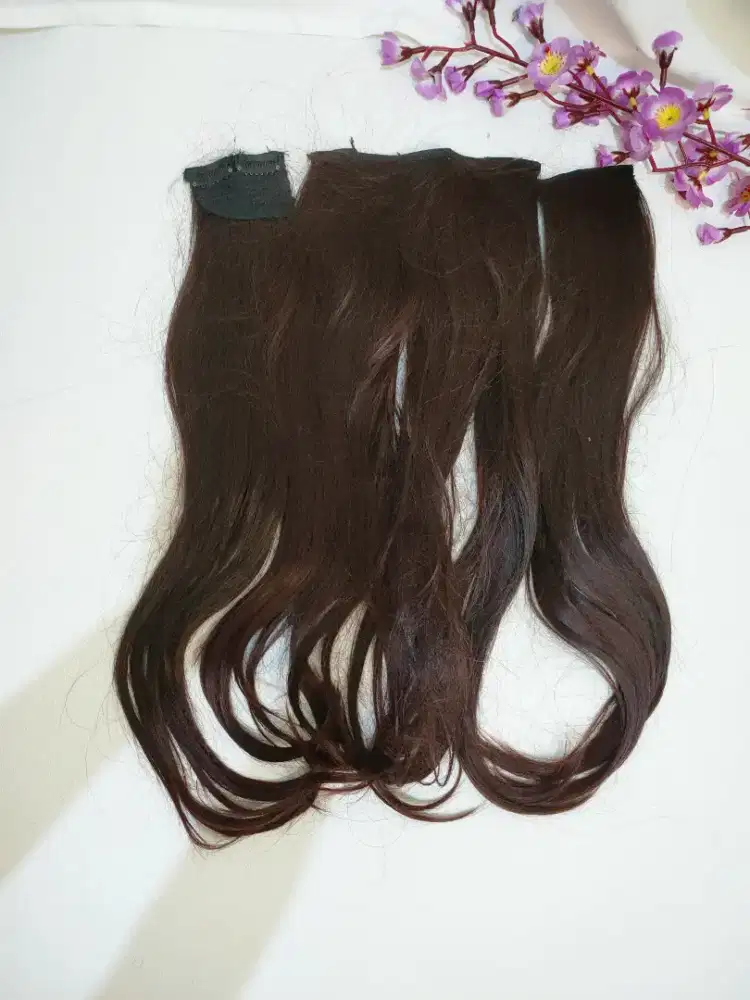 PRELOVED Rambut HairClip