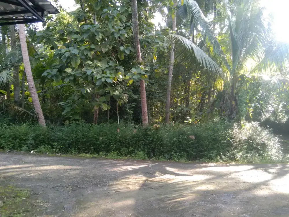 Dijual Tanah 700 m² cocok untuk madrasah/dirasah atau panti dll