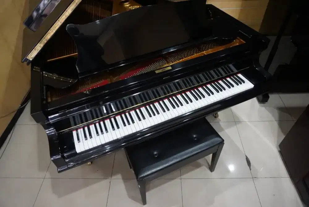 Grand Piano Schiedmayer & Soehne - Made in Germany