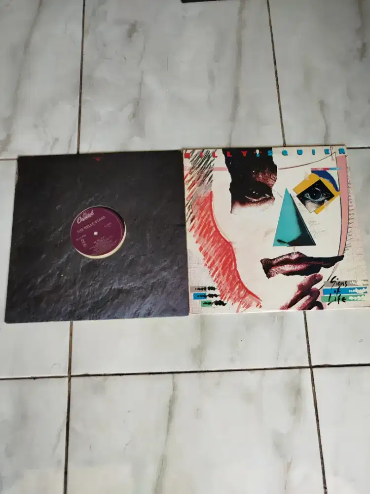 Vinyl (Piringan Hitam)