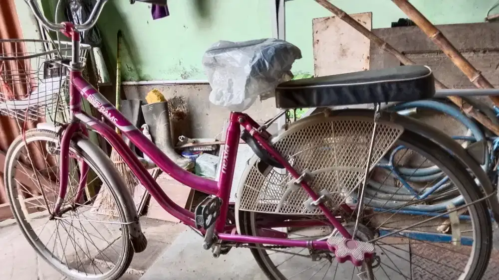 Sepeda ibu ibu bisa bawa sayur di depan ada keranjang