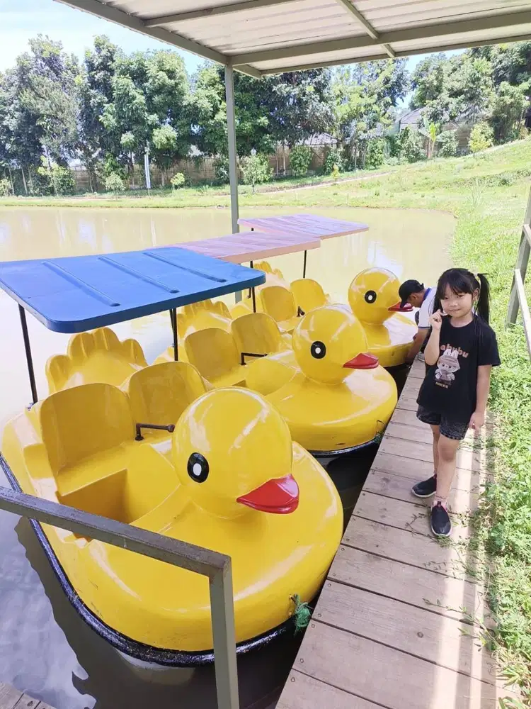 sepeda air itik kecil premium sedang