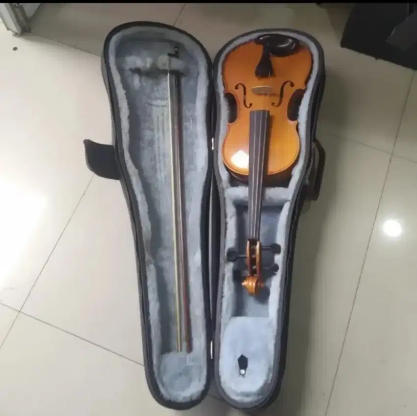 Biola violin hand crafted by strunal josef jan dvor ak original