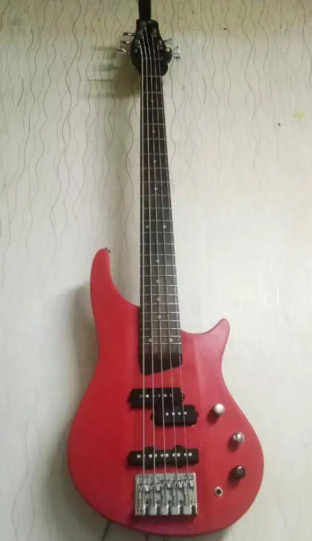 Bass 5 String model SDGR