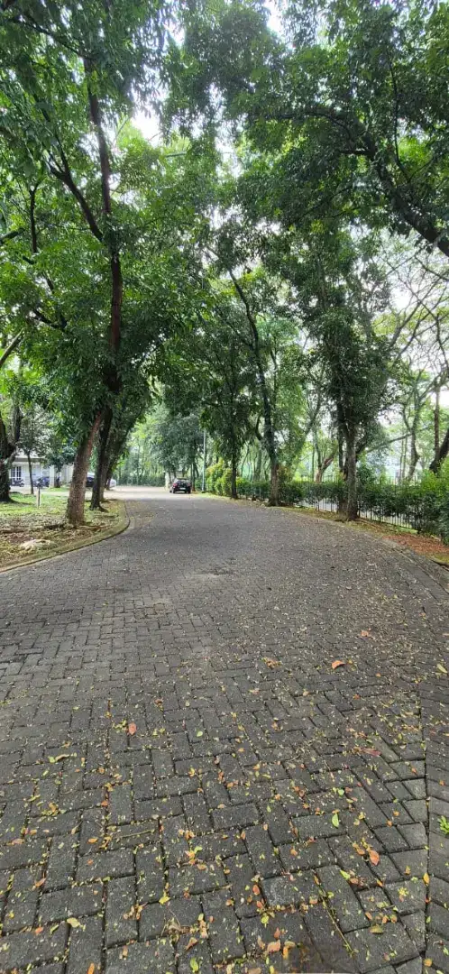 15jt/mtr Kavling kos2 an Foresta