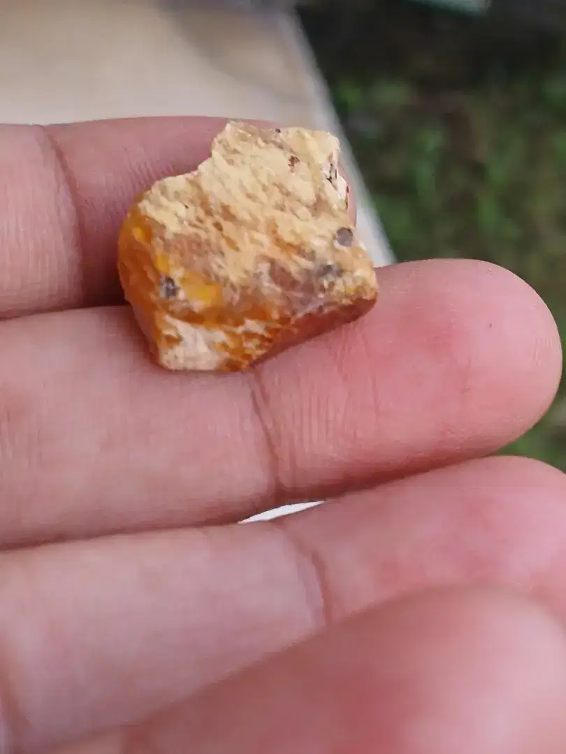Getah katilayu crb natural buhun