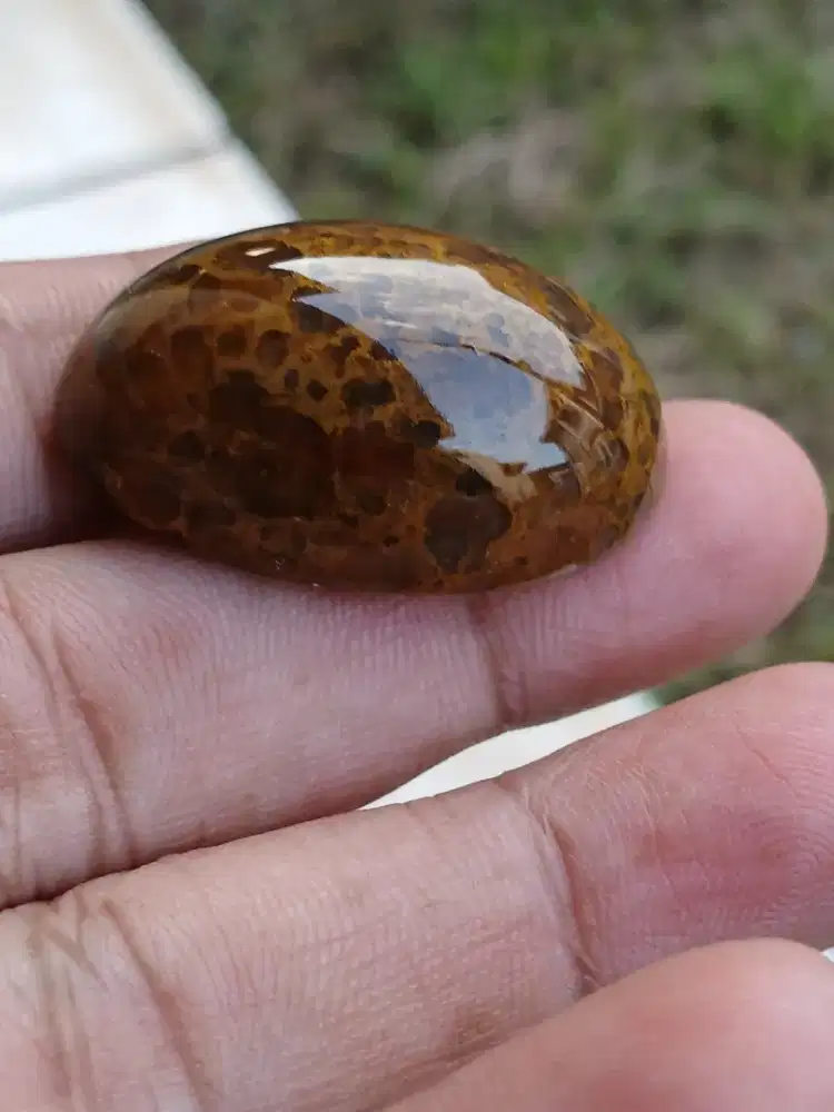 Batu badar lumut emas jumbo