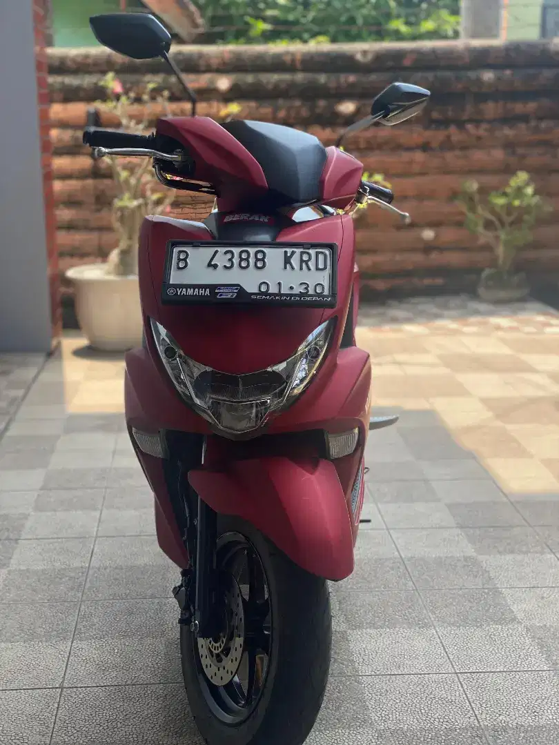 Jual santuy freego 2019
