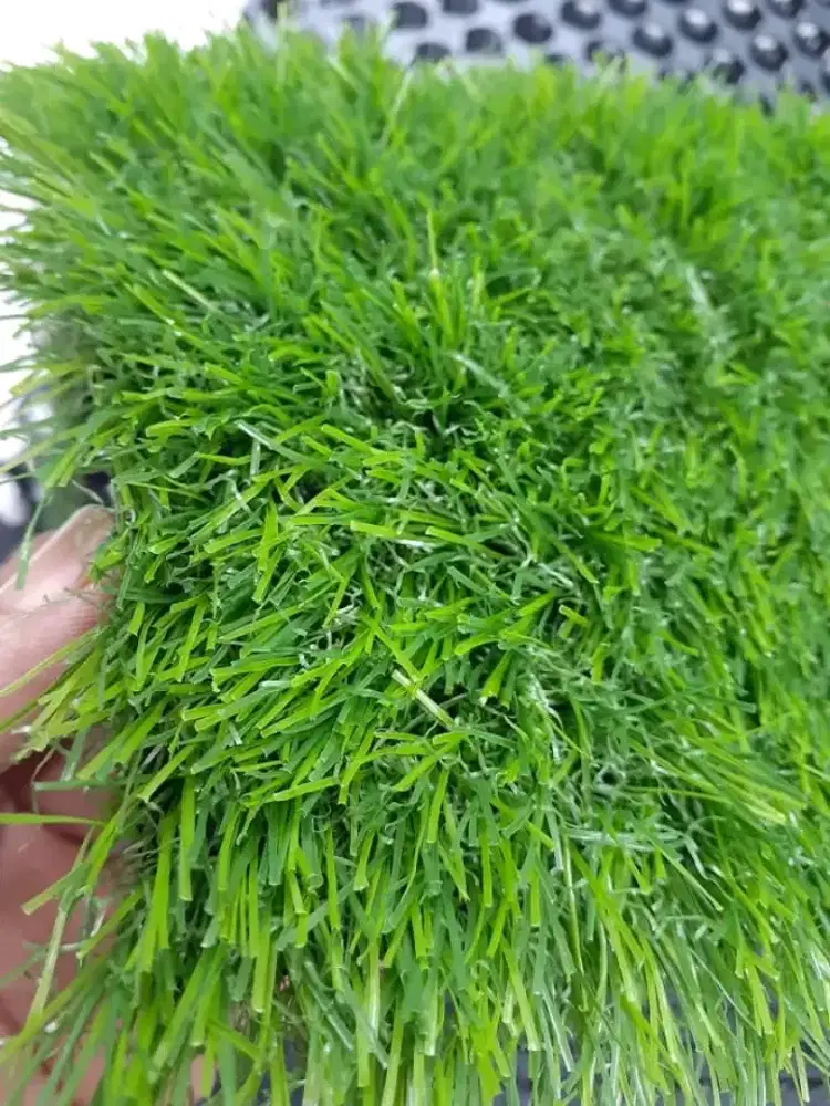 Grosir Rumput Sintetis Ukuran 2x2,5 meter