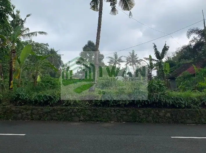 Tanah Kering/Pekarangan Sekitar Pabrik Hadap Jalan DPU