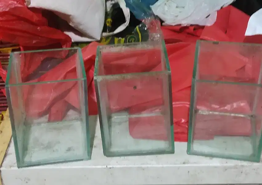 DIJUAL AKUARIUM EX CUPANG