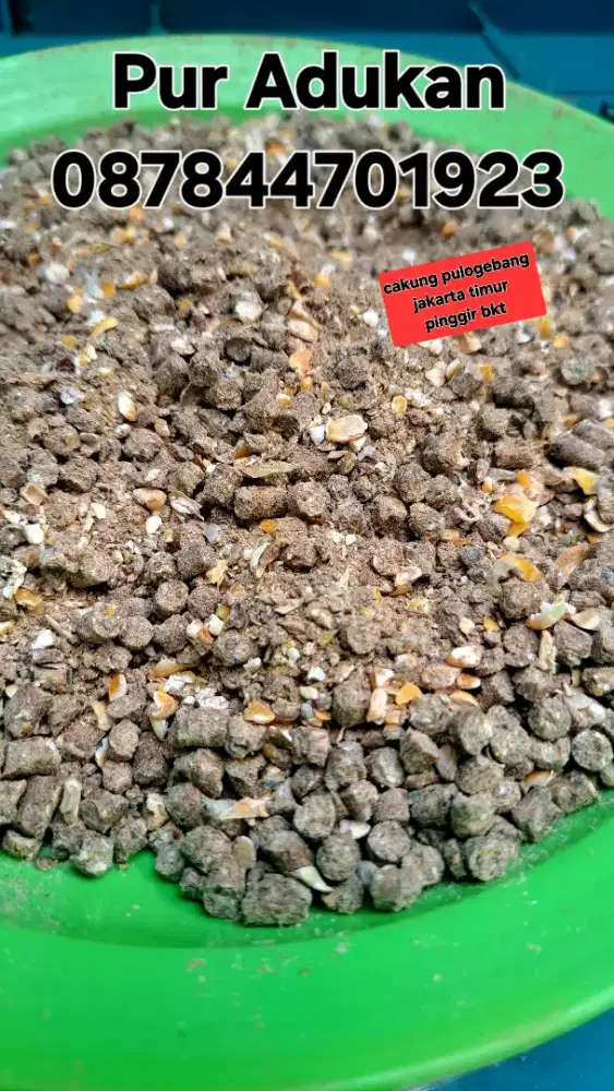 Pakan alternatif pur campur