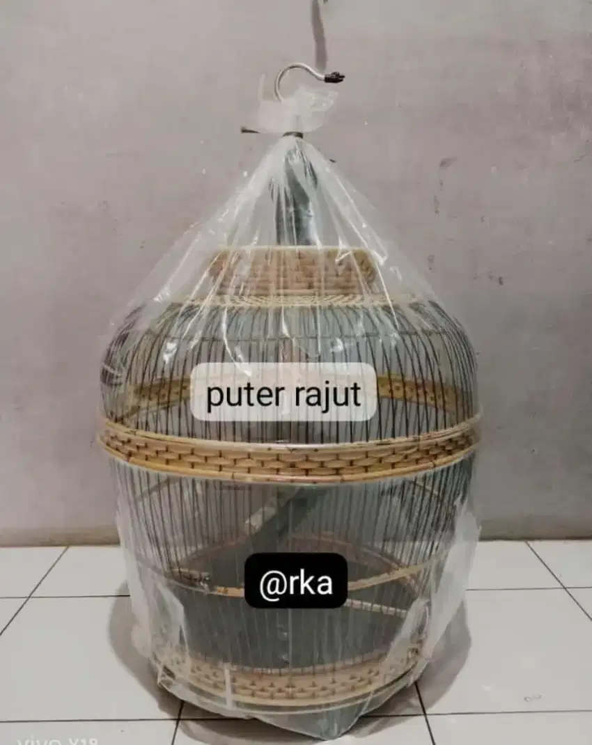 sangkar puter rajut