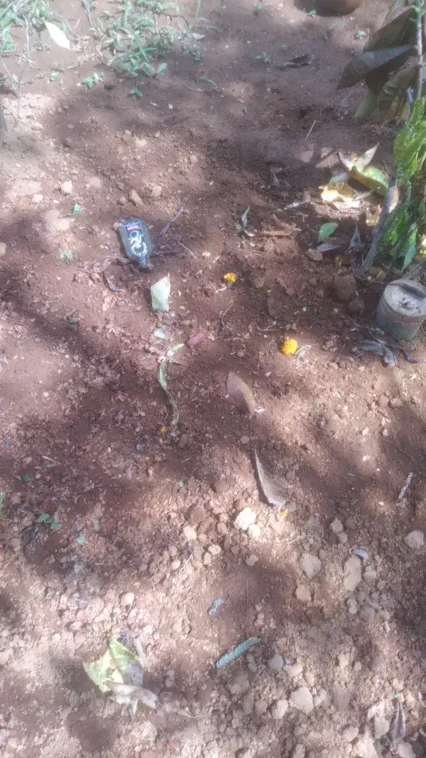 puing sampah sisa sebagainya