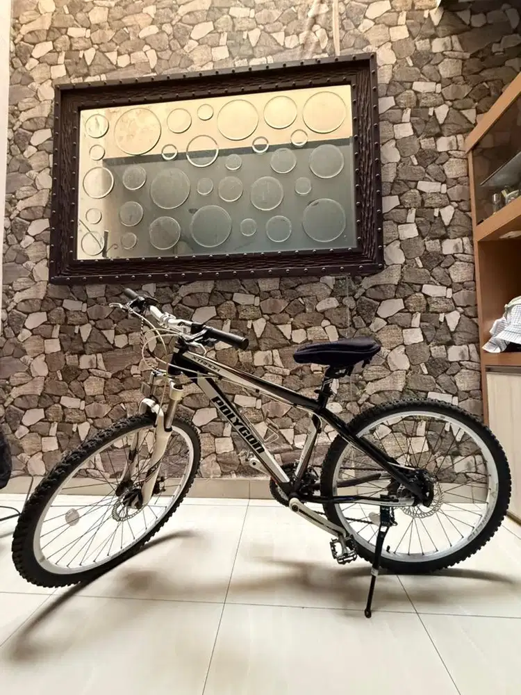 Speda Polygon Xtrada 5.0