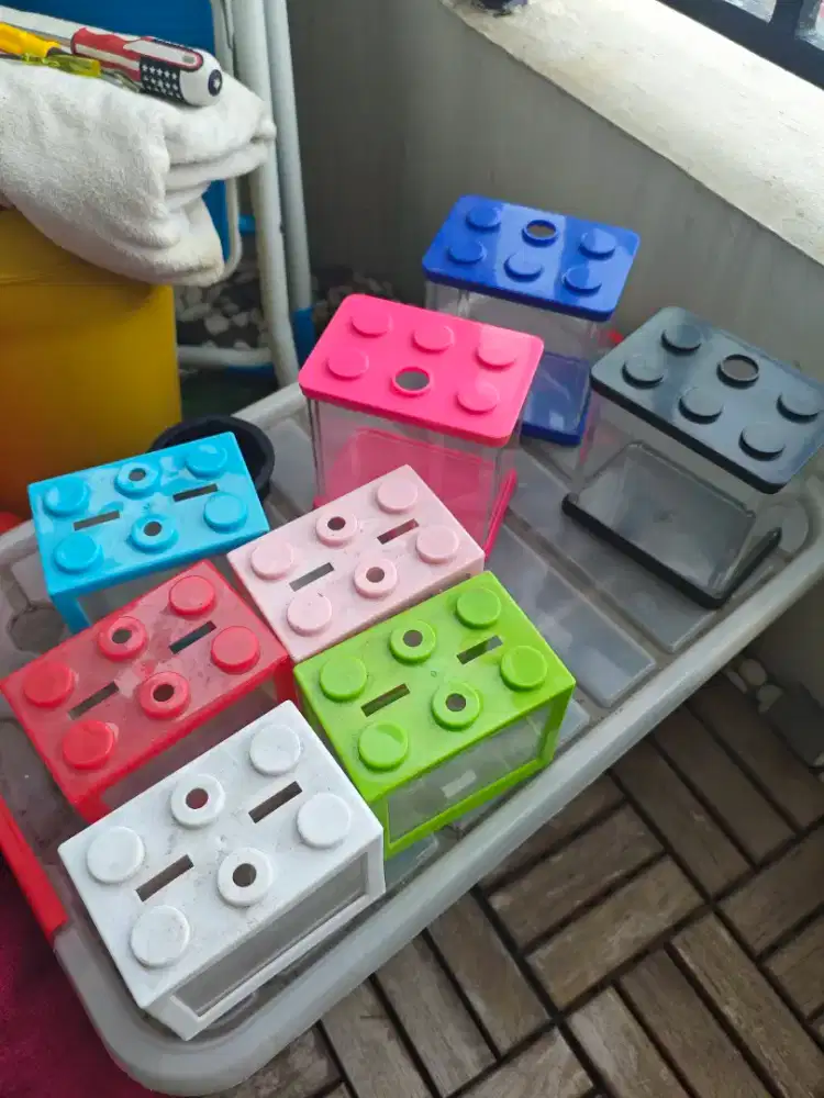 Aquarium untuk cupang