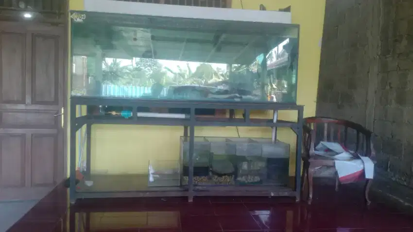 jual aquarium 2 meter × 70 cm + full set Sam filter atas bawah