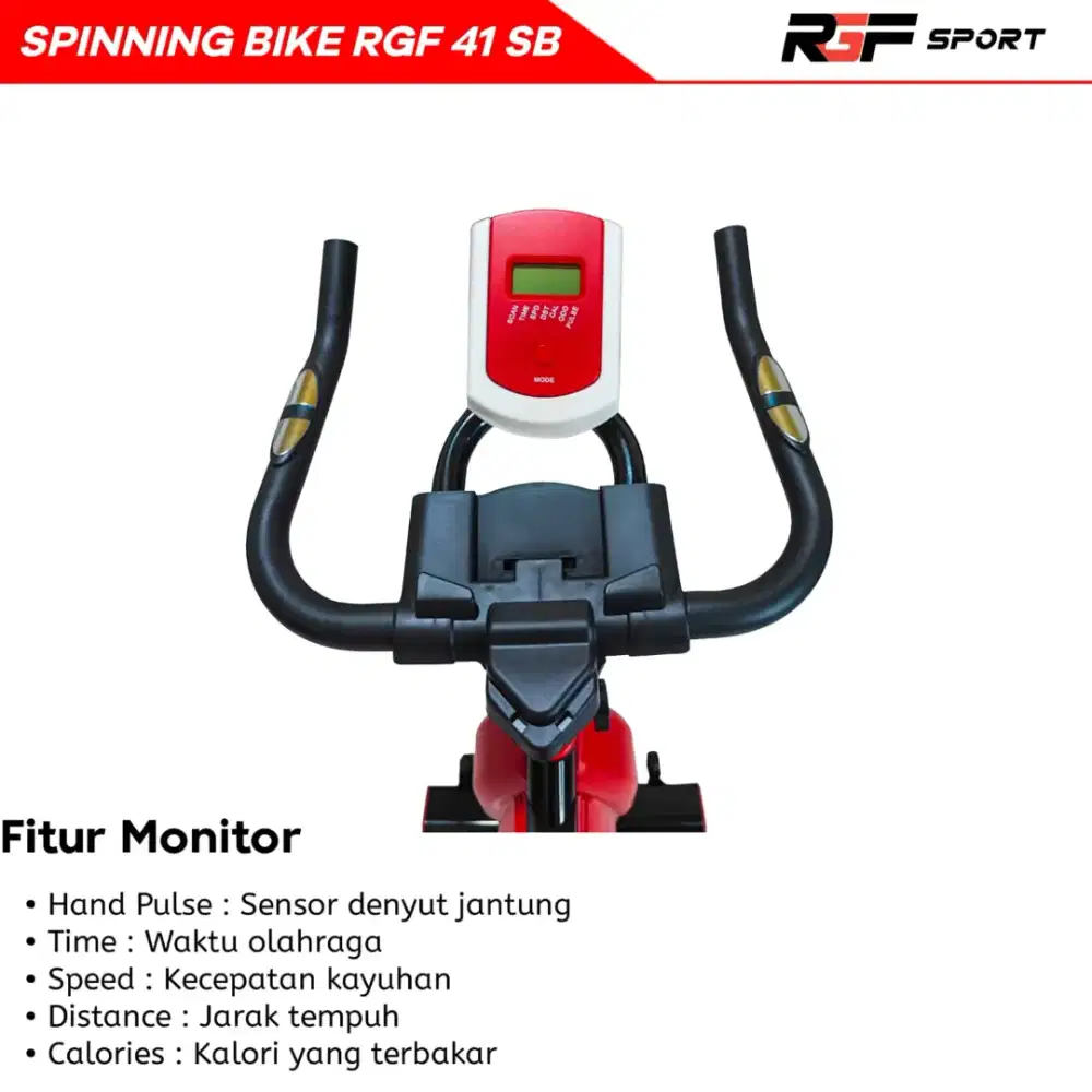 SPINNING BIKE RGF-41 SB