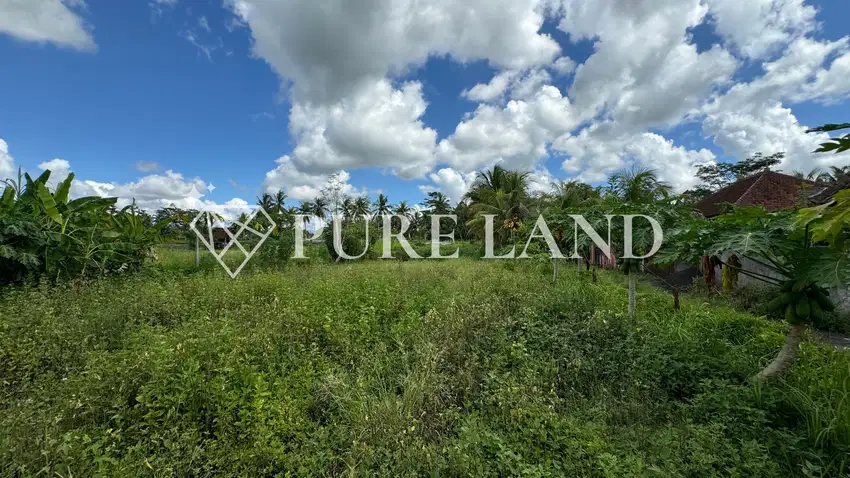 Pristine Land in Bitera Ubud