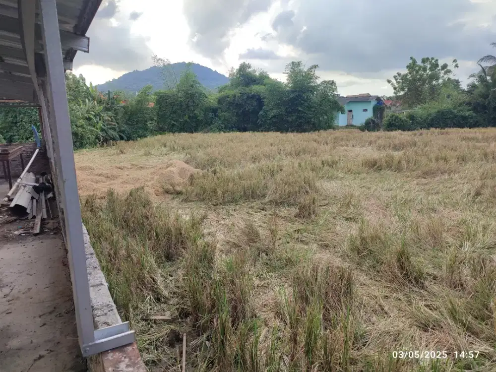 Jual Tanah di Kramatwatu