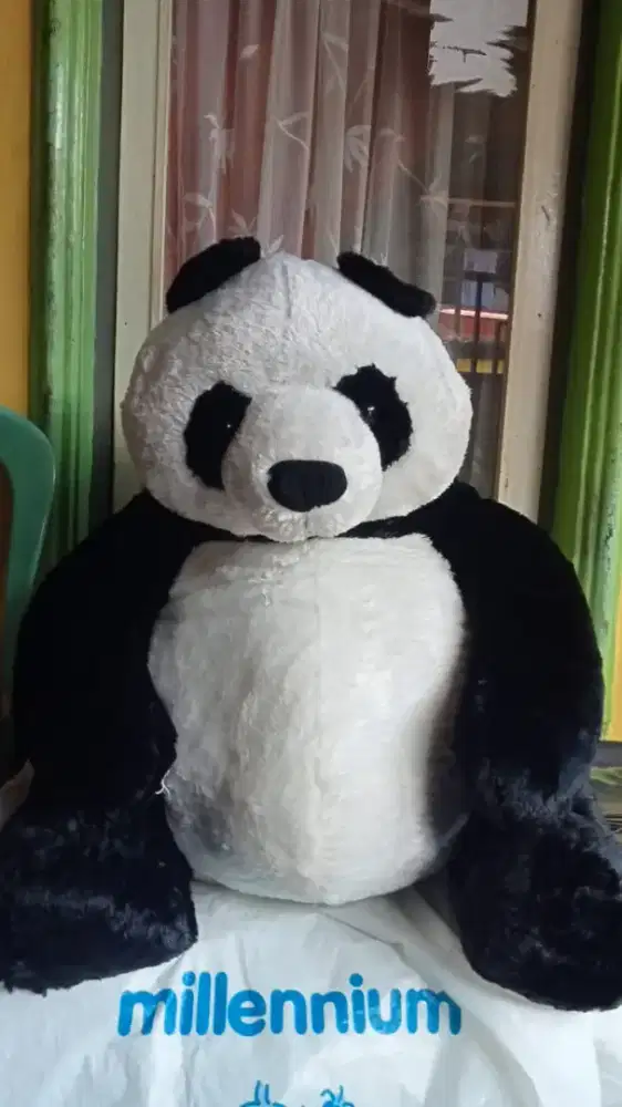 Boneka panda jumbo