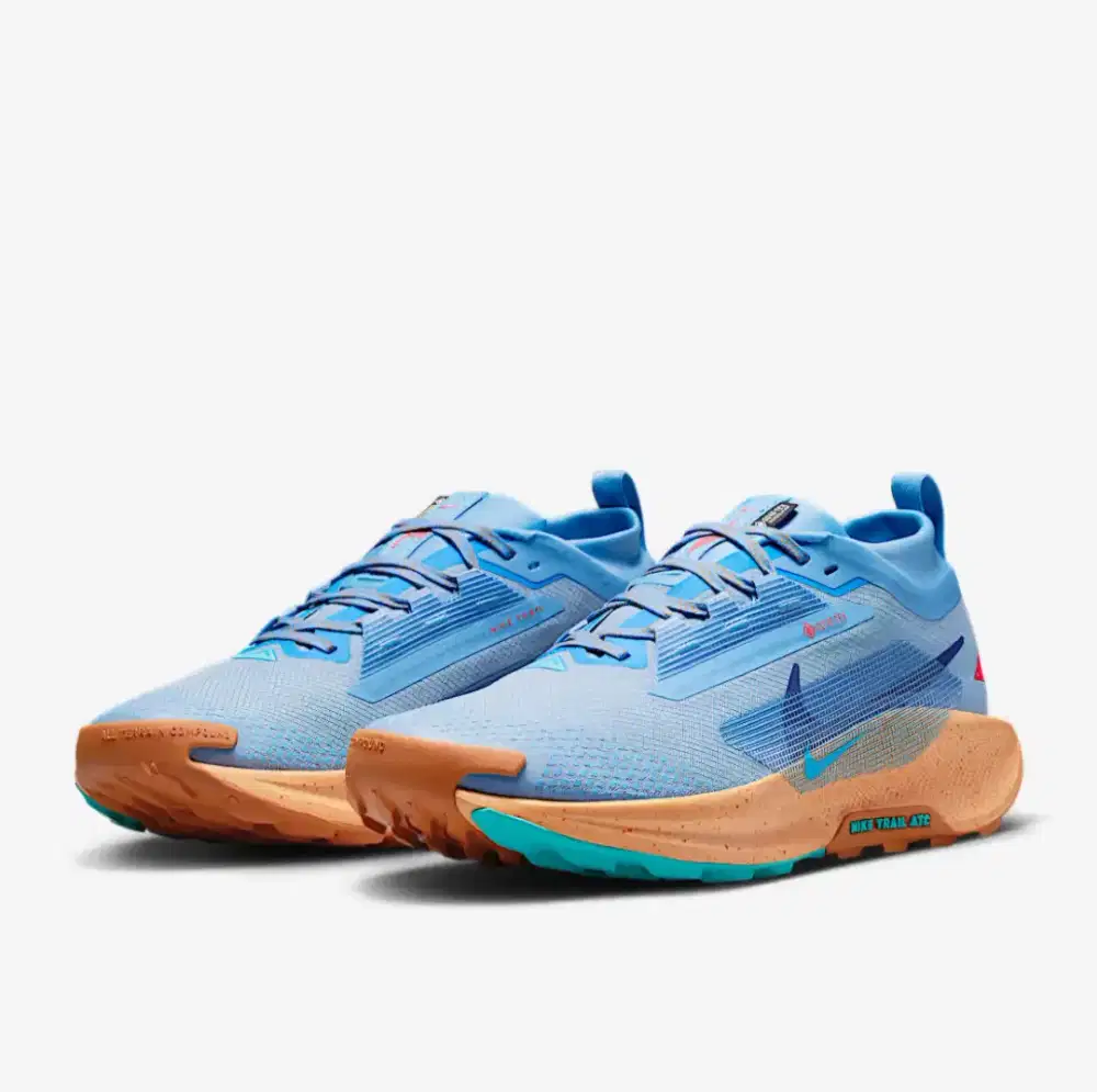 Nike pegasus trail 5 gore-tex size 45