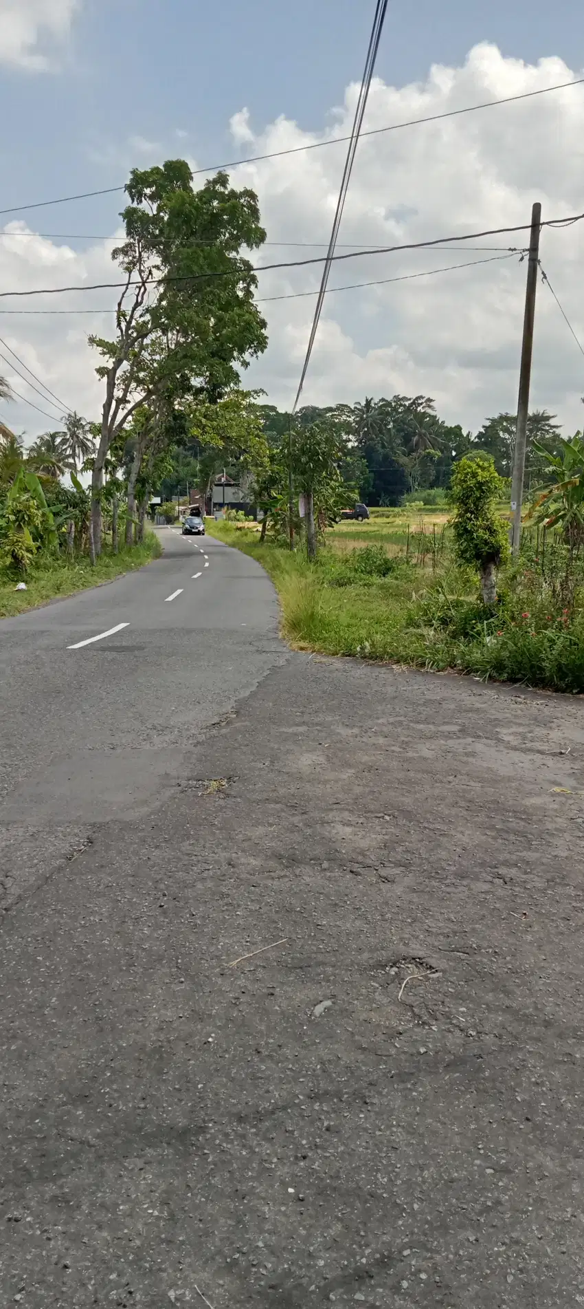 Sawah tepi jln utama view merapi