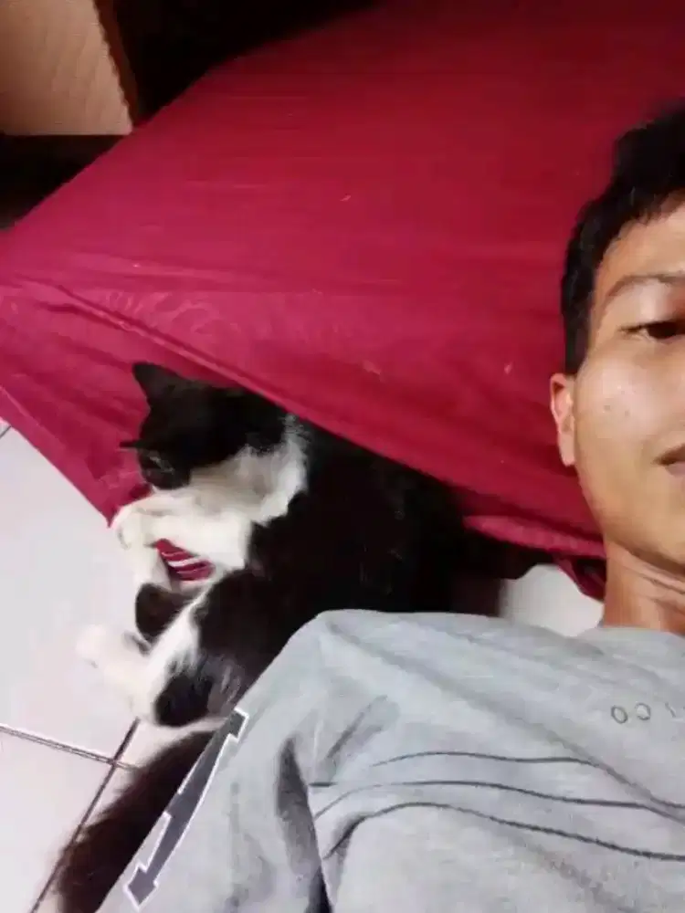 Nyari kerjaan bengkel