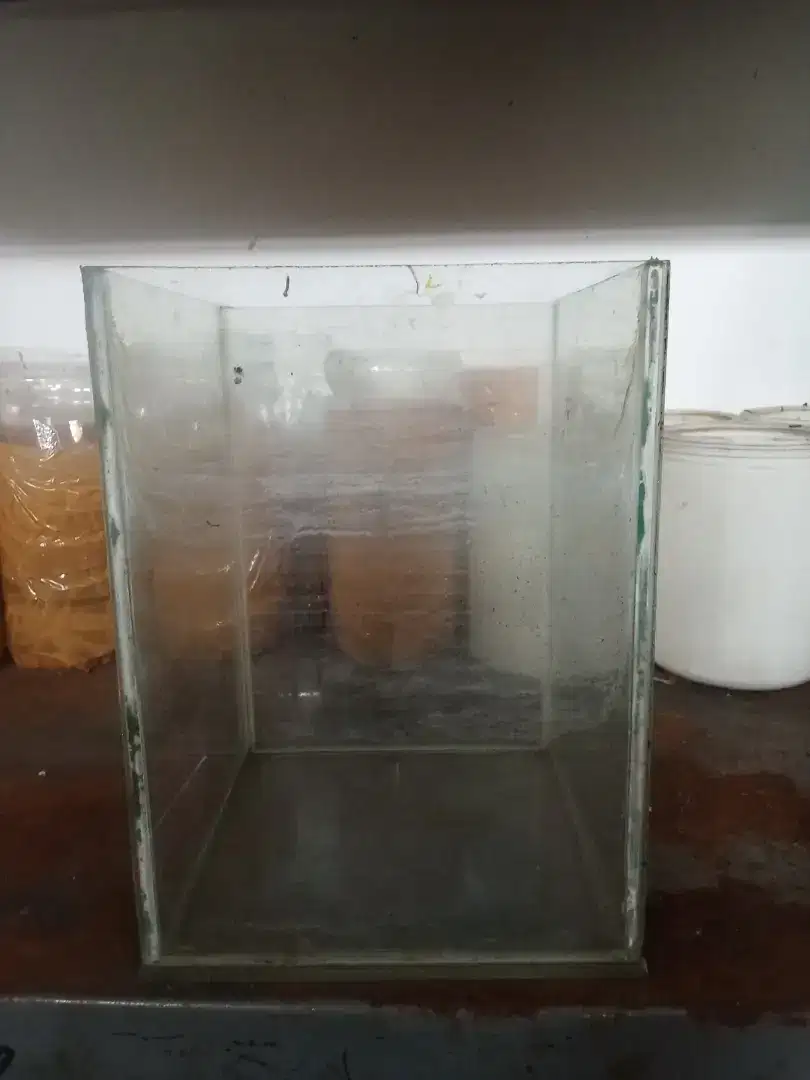 Soliter kaca ikan cupang
