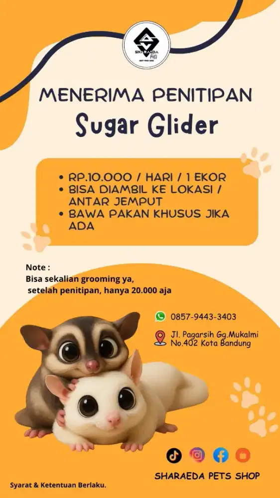 Penitipan dan grooming