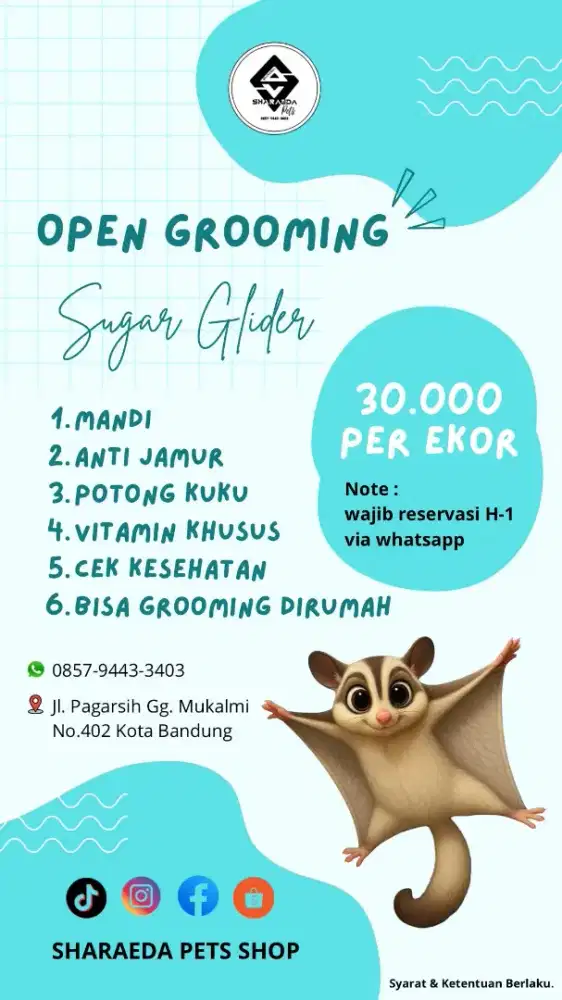 Grooming dan penitipan