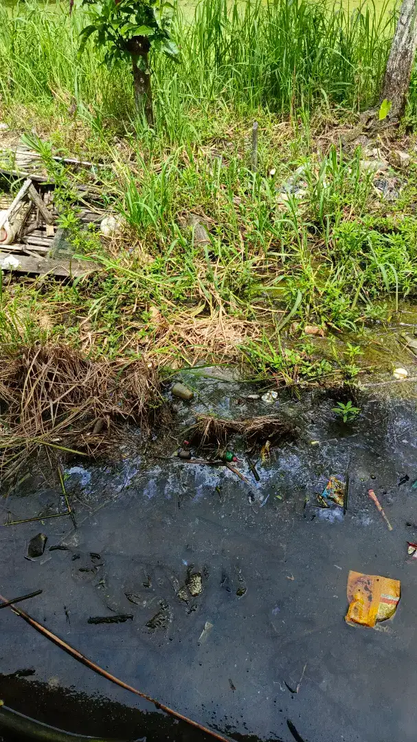 jasa bersih bersih dan potong rumput lainnya
