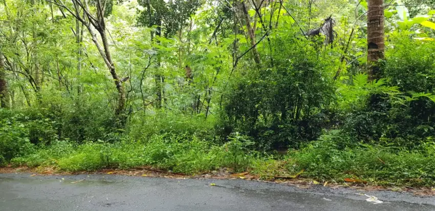 (BU Segera) Tanah pinggir jalan DPU lebar depan 70 meter