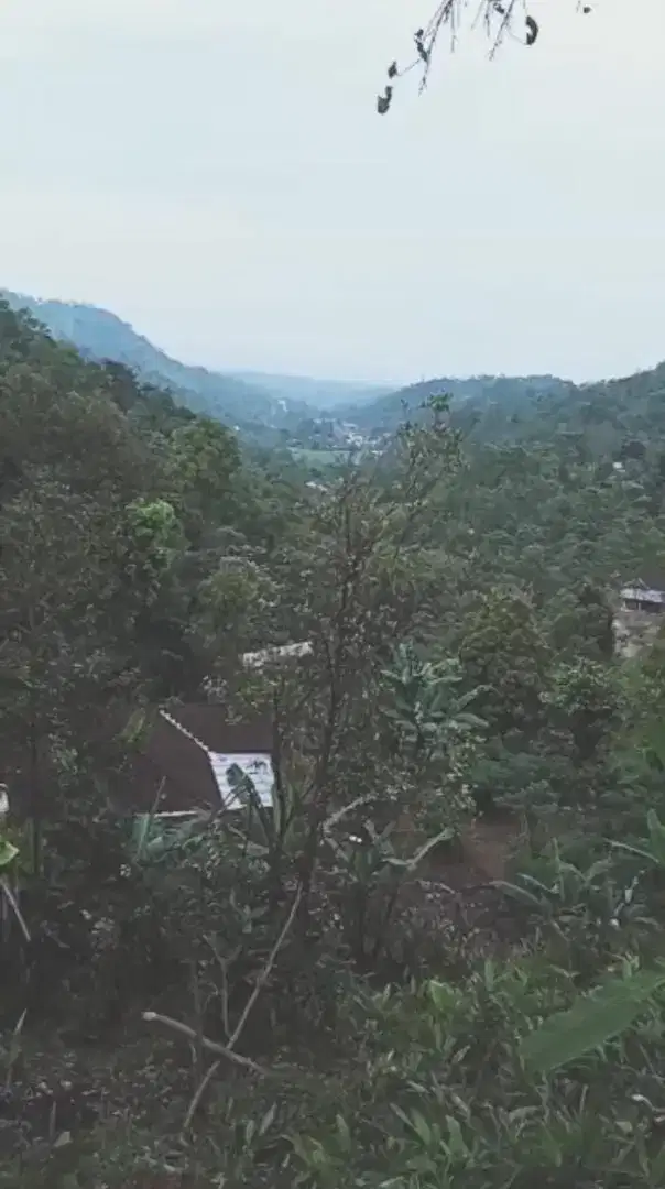 (BU)Tanah Pekarangan deket wisata skyhill kemuning