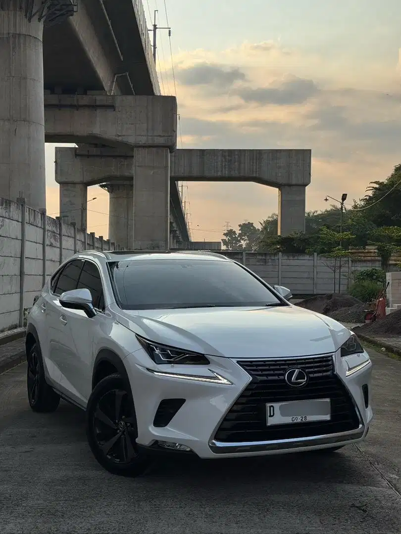 Lexus NX300 2018 low km