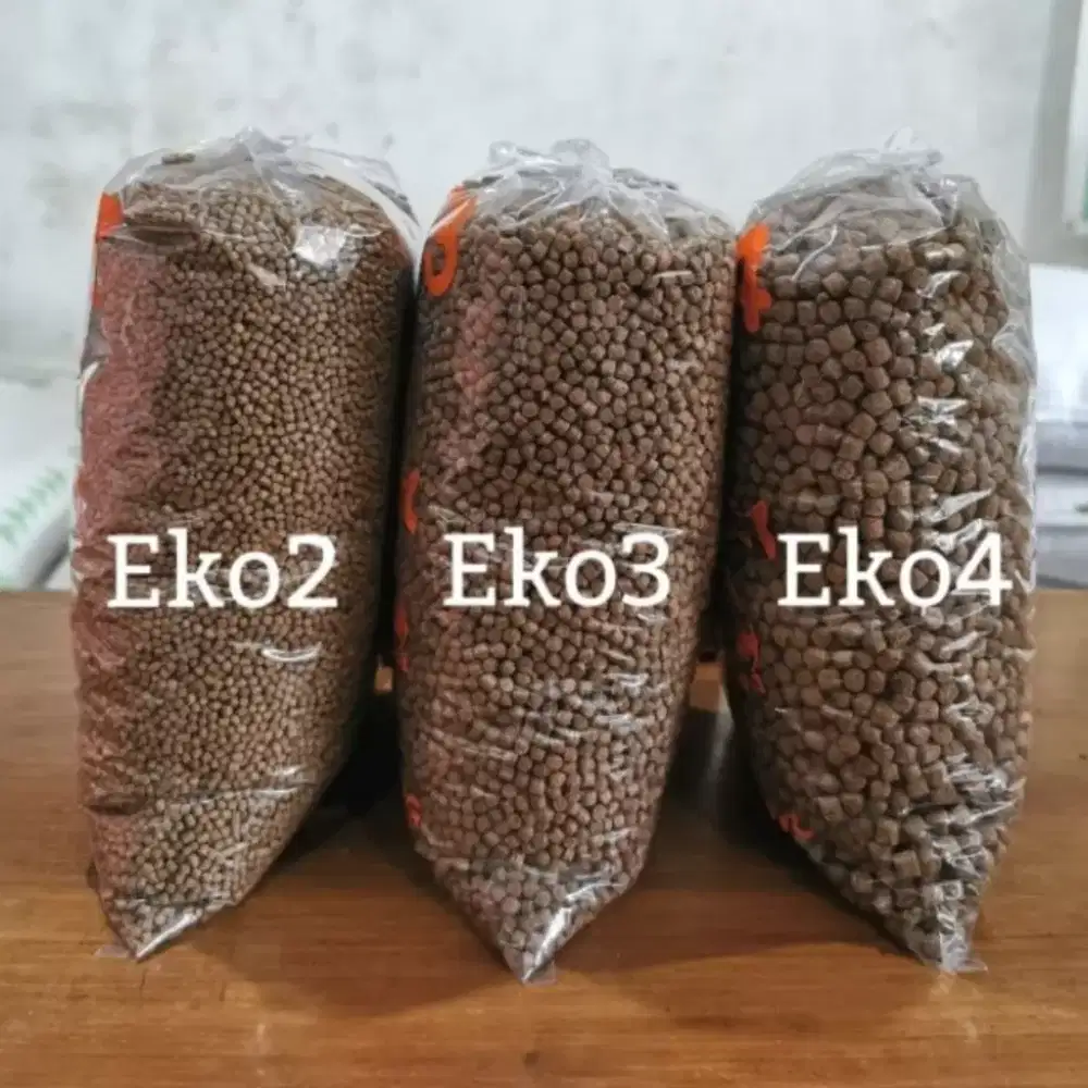 Pakan ikan kiloan, makanan ikan lele patin mujaer nila gurame