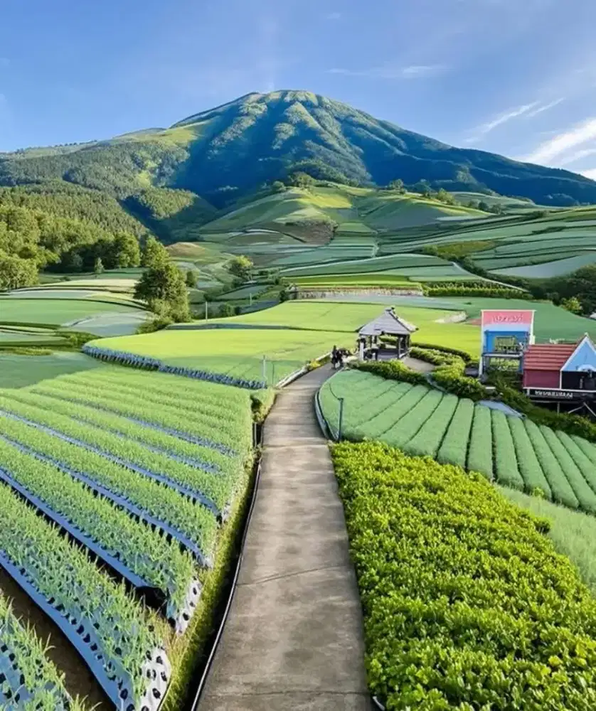 Staf Produksi Herbal