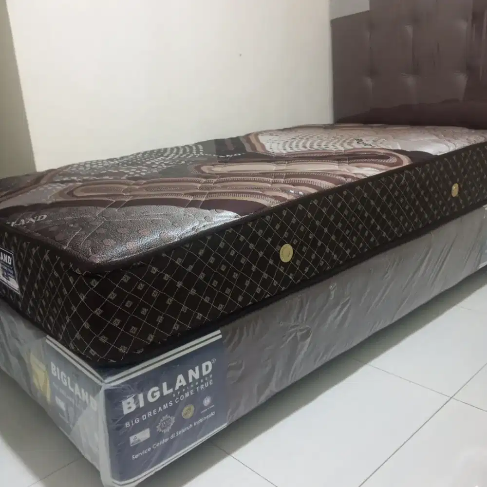 Multibed bigland ukuran 100X200