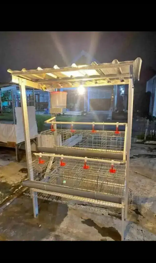 Terima pesenan kandang ayam petelur berbagai ukuran