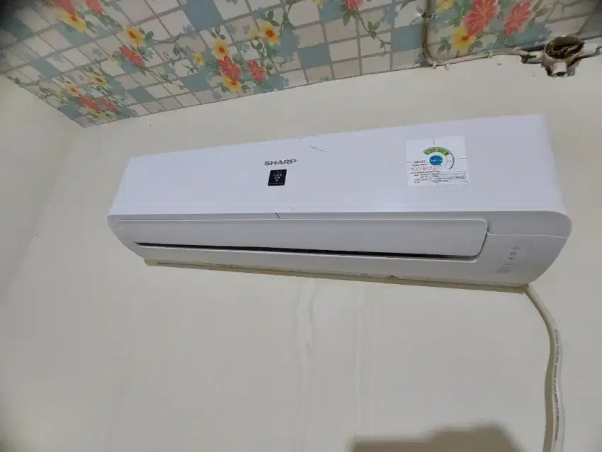 Ac sharp 1/2 pk