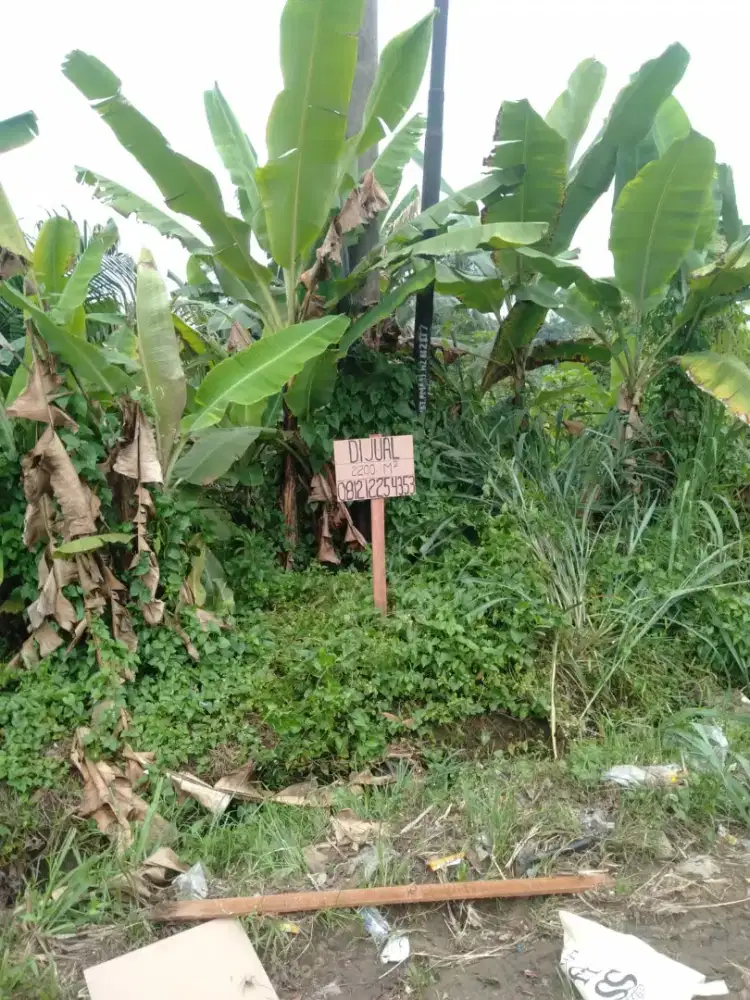 Jual Tanah, termurah sekotabaru Jambi