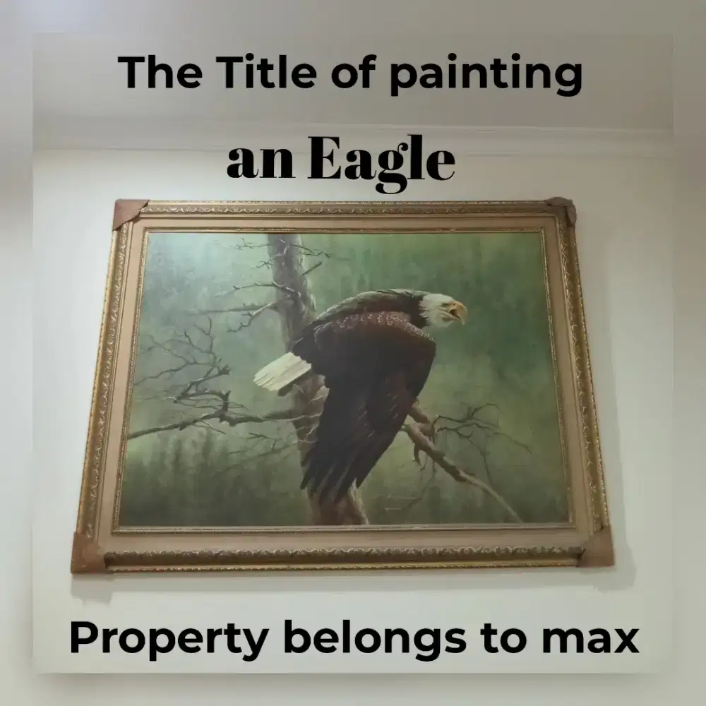 Lukisan Canvas    BURUNG ELANG