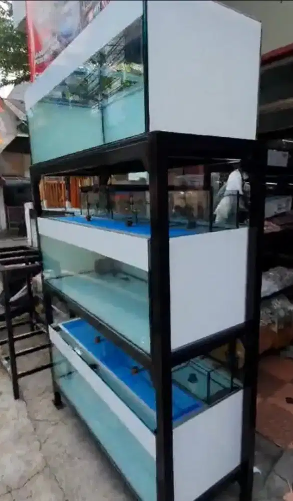 Aquarium Akuarium Tank 3 Susun Ikan Arwana Rak 100x50x40 cm Full Set