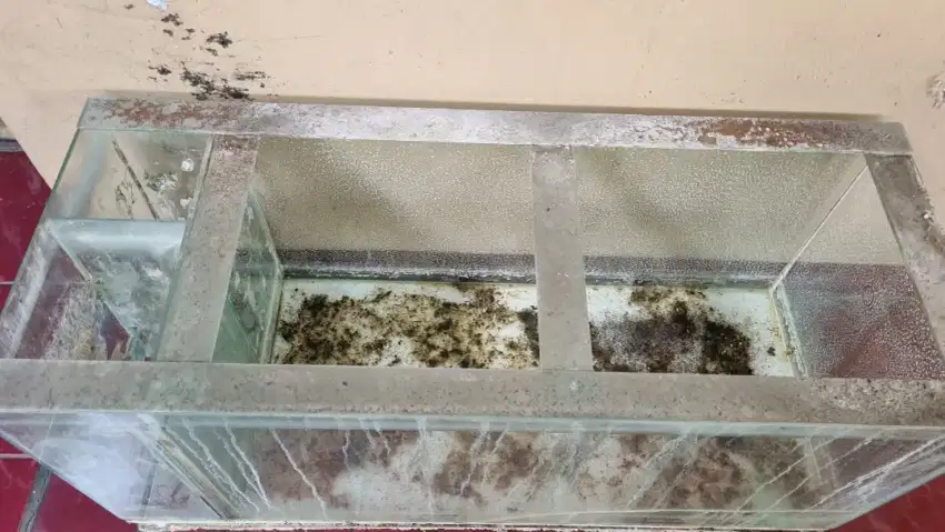 Dijual Aquarium Filter P.100 x L.60 x T.60 Bekas Second Aquascape Ikan
