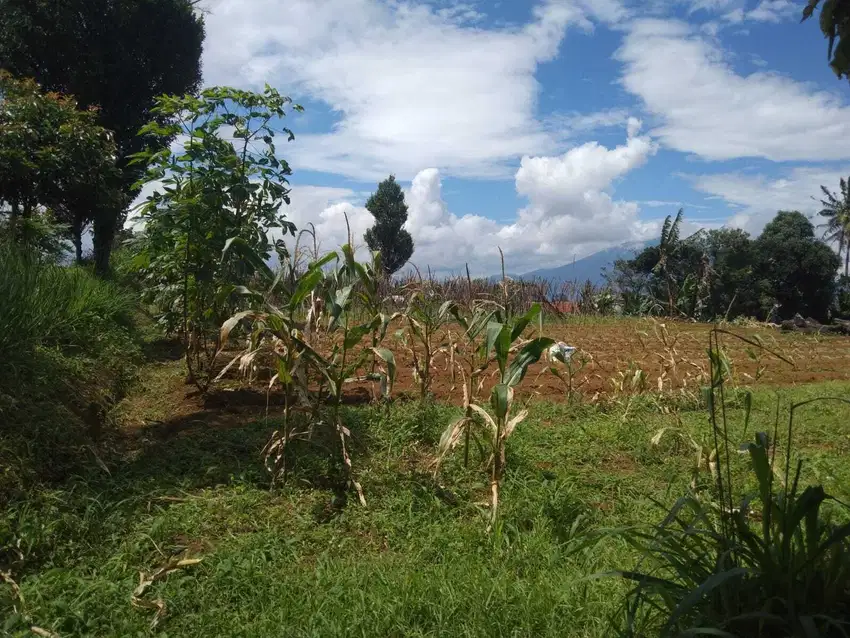 di jual lahan view bagus di megamendung