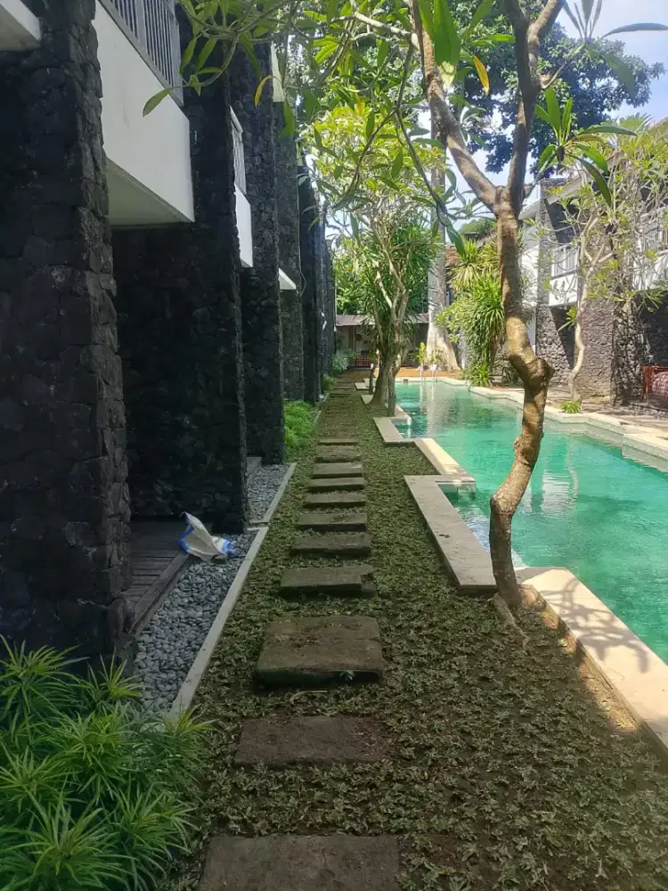 Jual Rumour,Rumput Jepang,Rumput Mutiara,Jual Rumput + Pasang,Jual