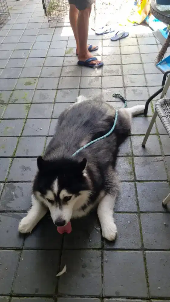 Lowongan Kerja ART - Bandung Barat