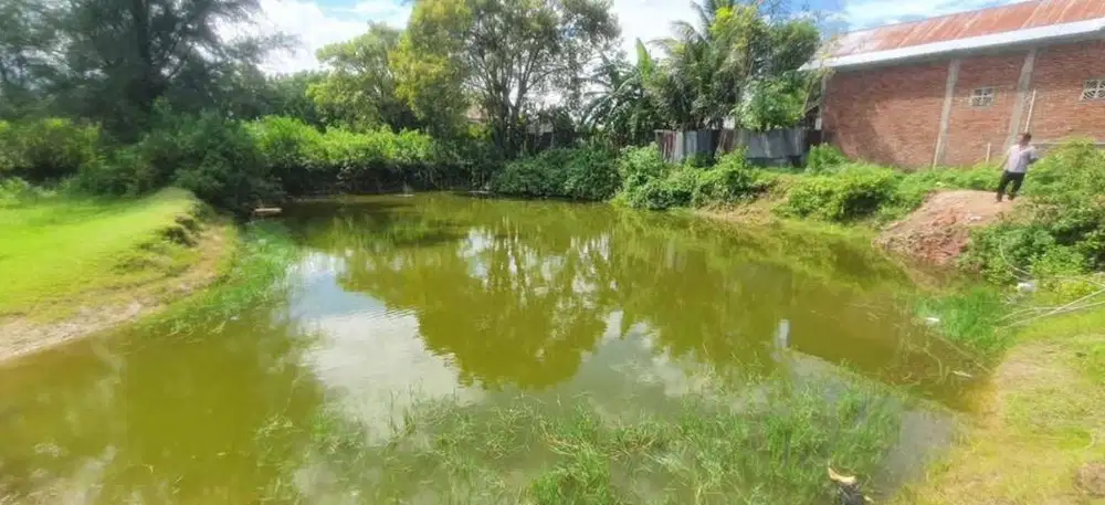 Tanah Kolam 500m2, 200rban permeter, Jual Murah aja Mau pulang kampung