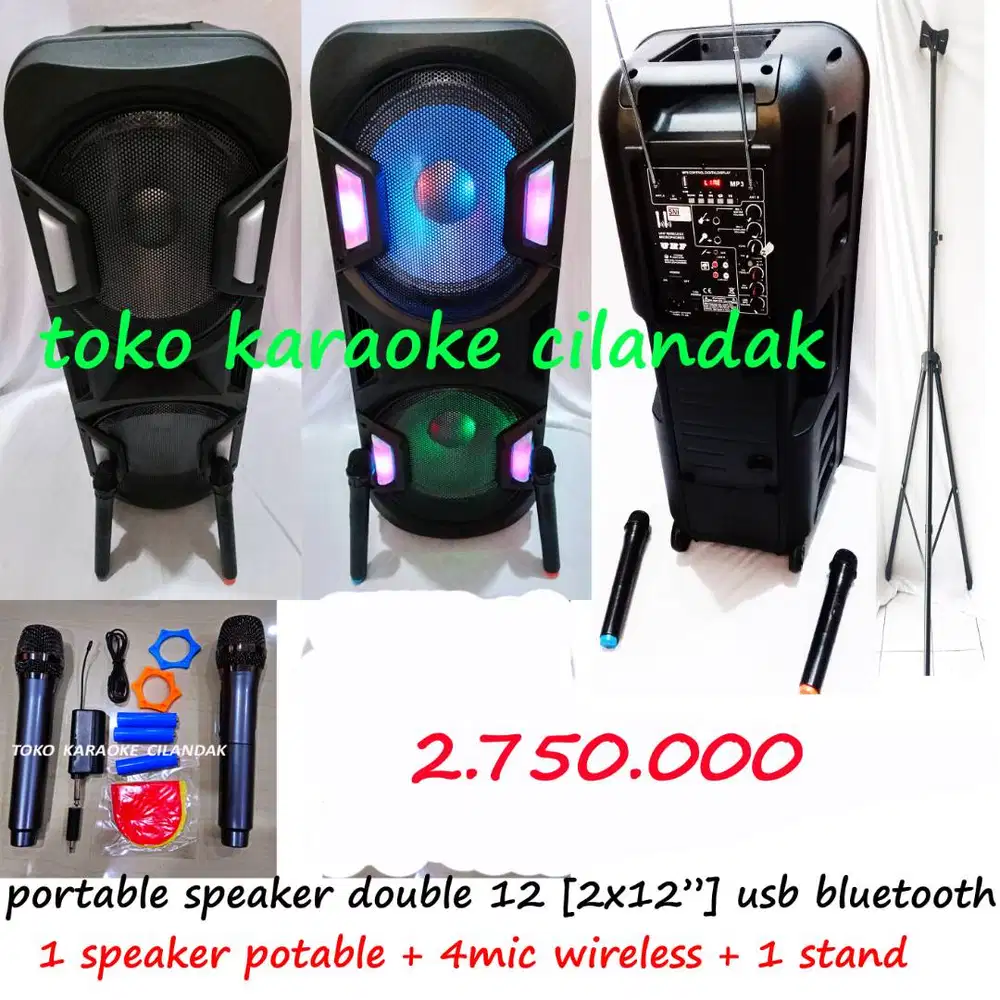 portable 2x12in + 4mic wireles 1 stand