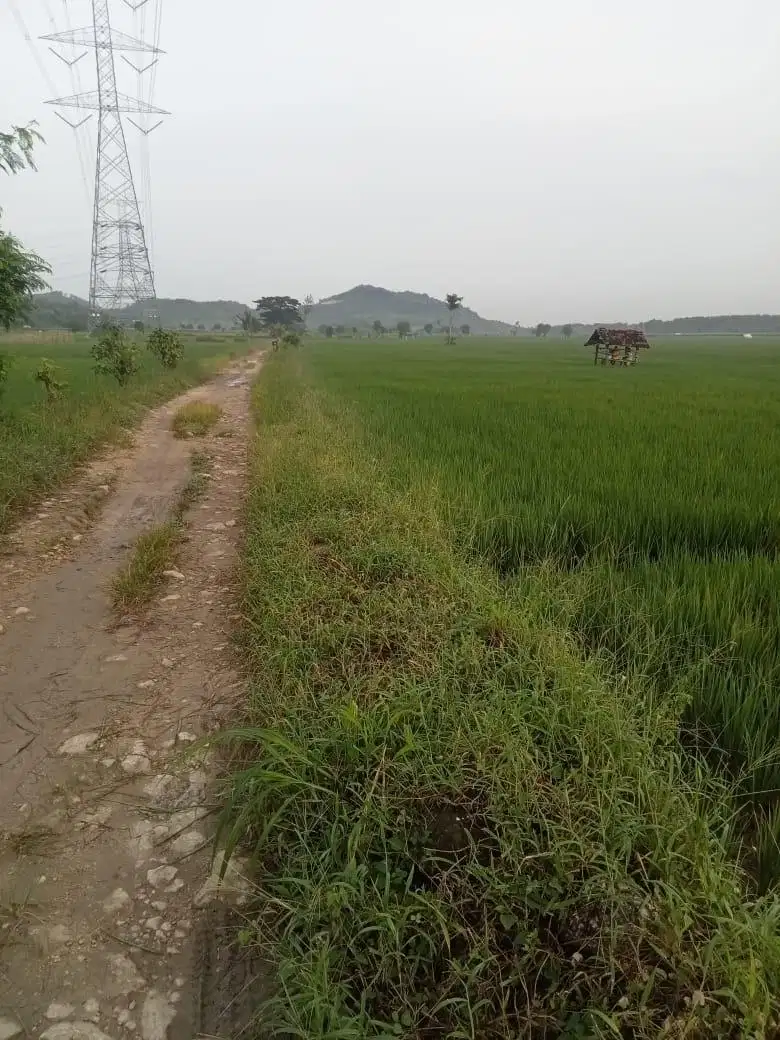 Lahan usaha Tanah